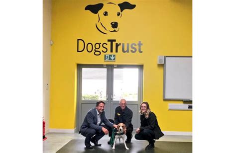 dogs trust rehoming centre.